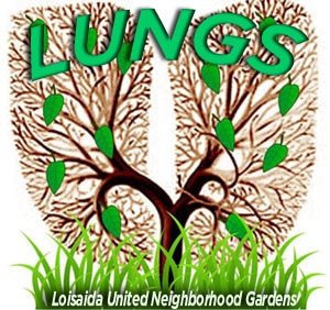 LUNGS_PR_LOGO